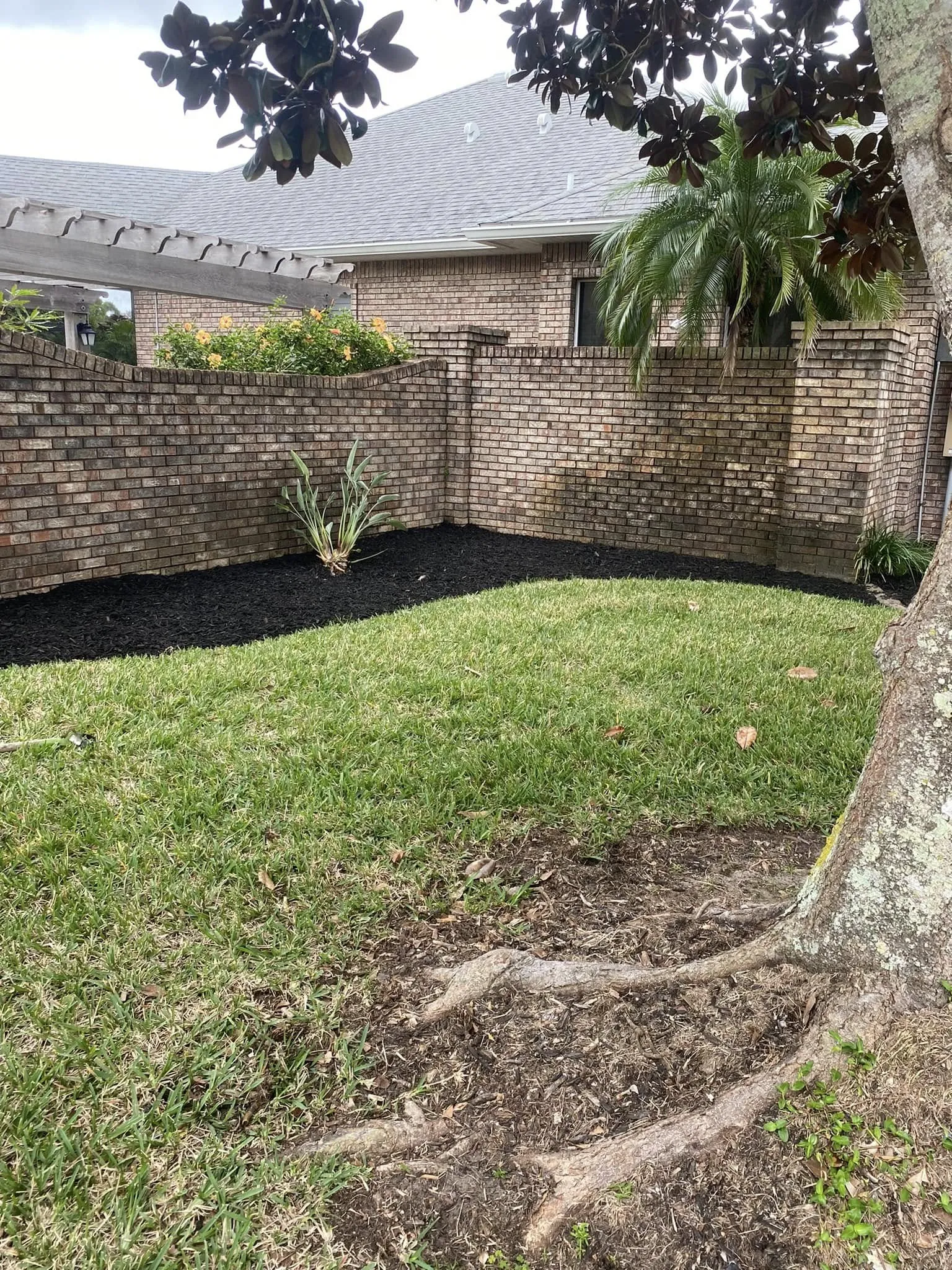 Galería